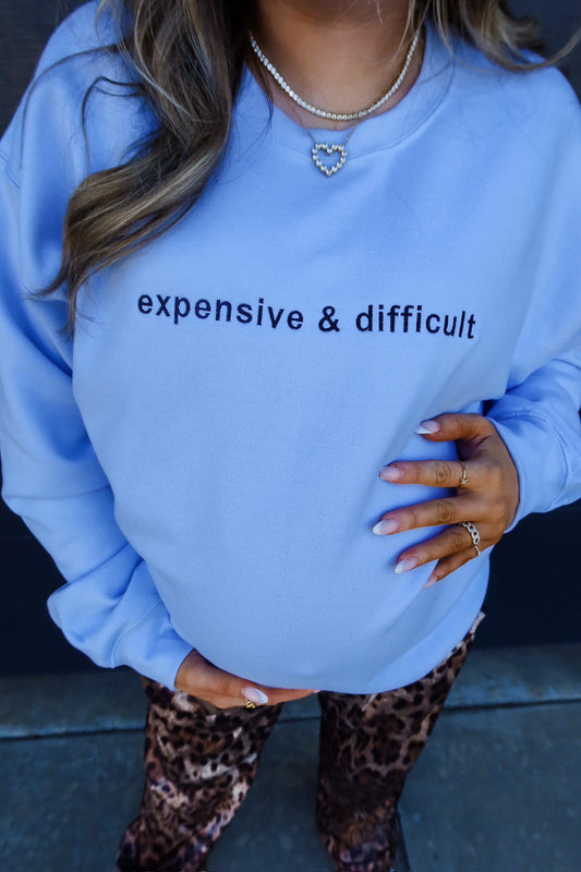 Expensive & Difficult Embroidered Sweatshirt